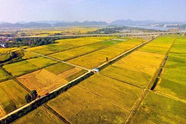 回乡创业的难点和机遇解答,2023年预计返乡创业人数达到