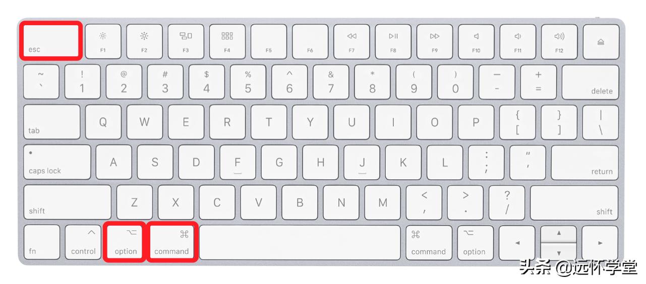 MacOS应用程序有时卡死，怎么办？2种方法轻松搞定