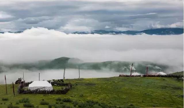 秋天的壤塘风景,壤塘秋天风景