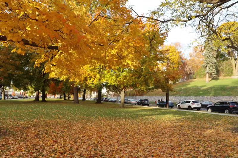 威斯康星大学麦迪逊分校本科排名,留学威斯康星麦迪逊大学