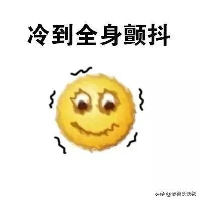 为什么狗鼻子很灵,为什么狗鼻子是凉的