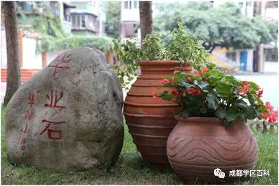 天府新区三大教育集团,天府新区五大教育集团