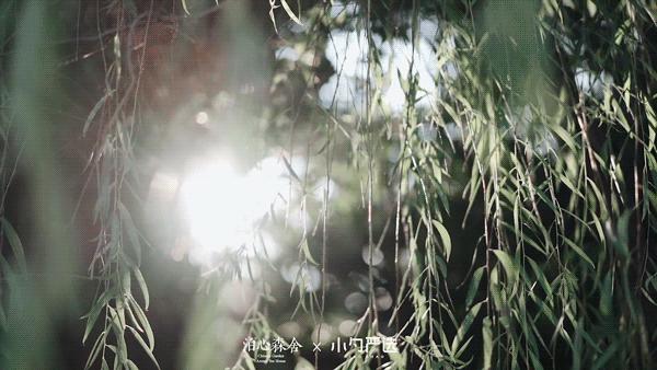 住进风景里的酒店,住进森系酒店