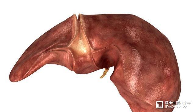肝脏开始病变会有哪些症状,肝脏病变会有什么症状