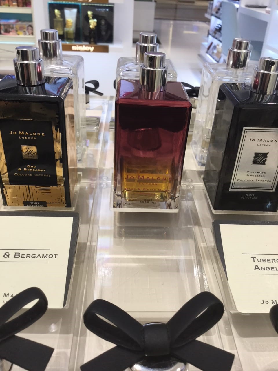 祖马龙和青柠罗勒,青柠罗勒祖玛龙