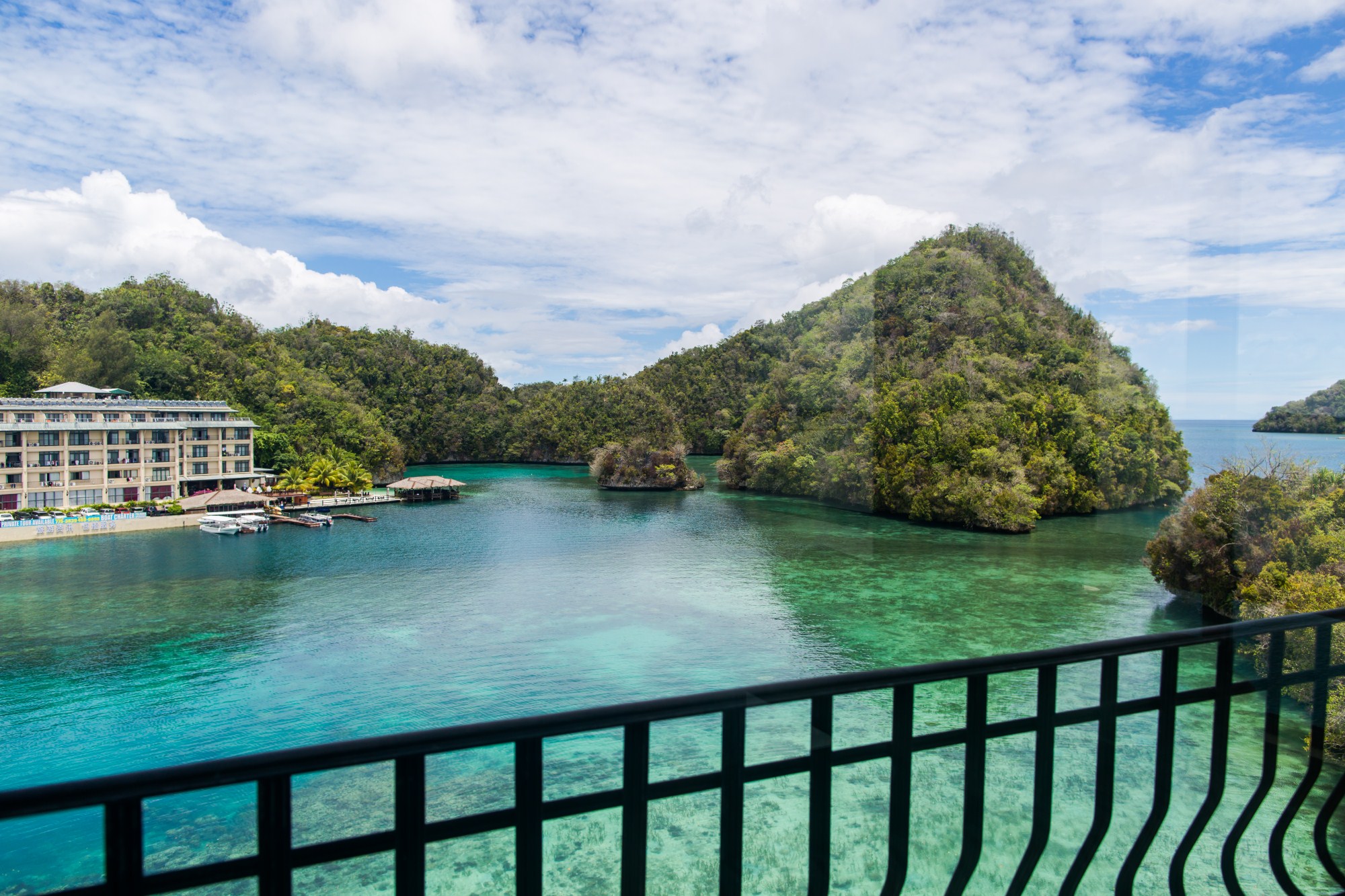 一定是特别的缘分——帕劳,再遇见「周若雪Patty」·上