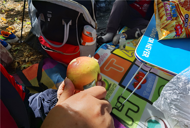 简单随行-HARNDS悍迪新守望者轴承*刀折**