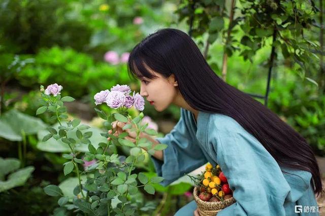 李子柒29岁收入让人眼红,李子柒背后的资本秘密