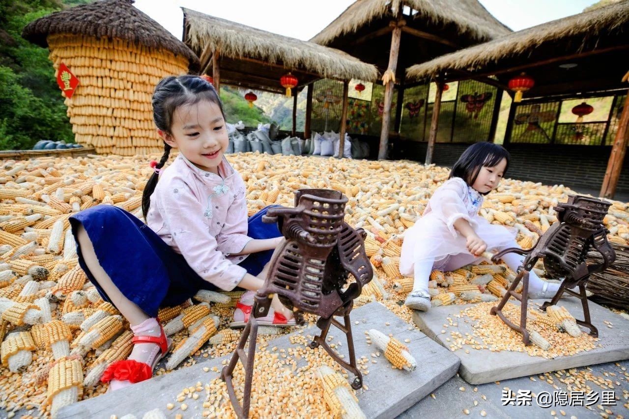 亲子京郊游红叶,国庆去北京看红叶攻略