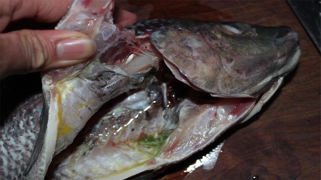 小苏打最常见的4种妙用，不仅祛斑还可以去苦味，简单又很实用