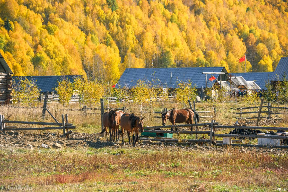 为美食而旅行,为美食美景而来