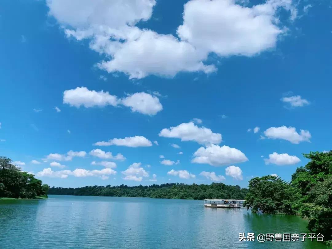 带孩子新加坡4天够玩吗,新加坡带孩子自由行几天