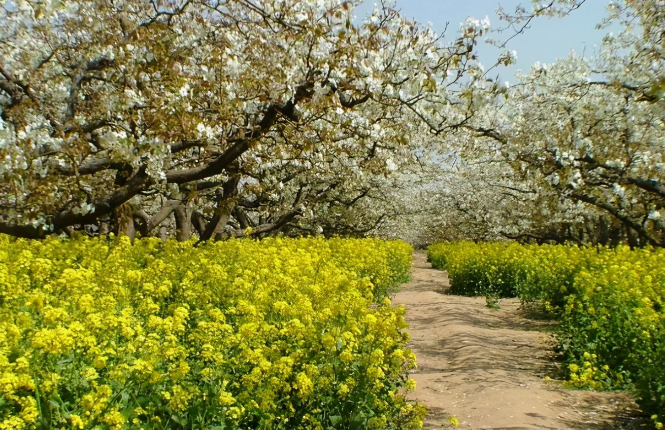石家庄千年古城赵县,赵县除了赵州桥还有哪些古桥