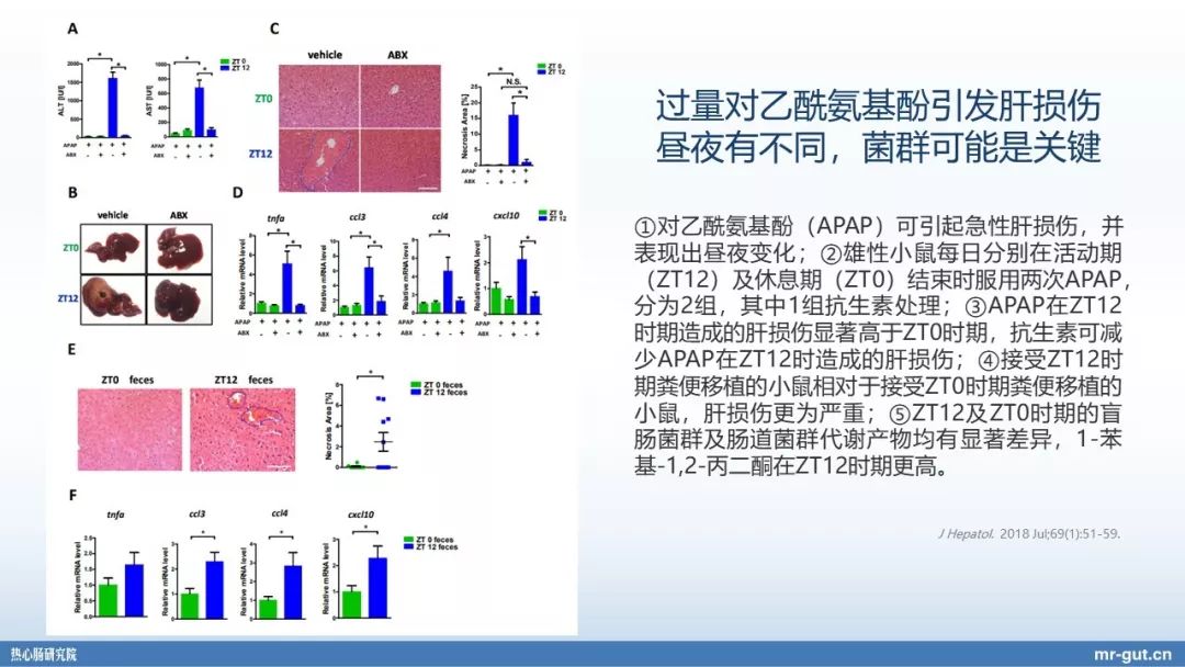 热心肠先生益生菌视频大全,热心肠先生全集