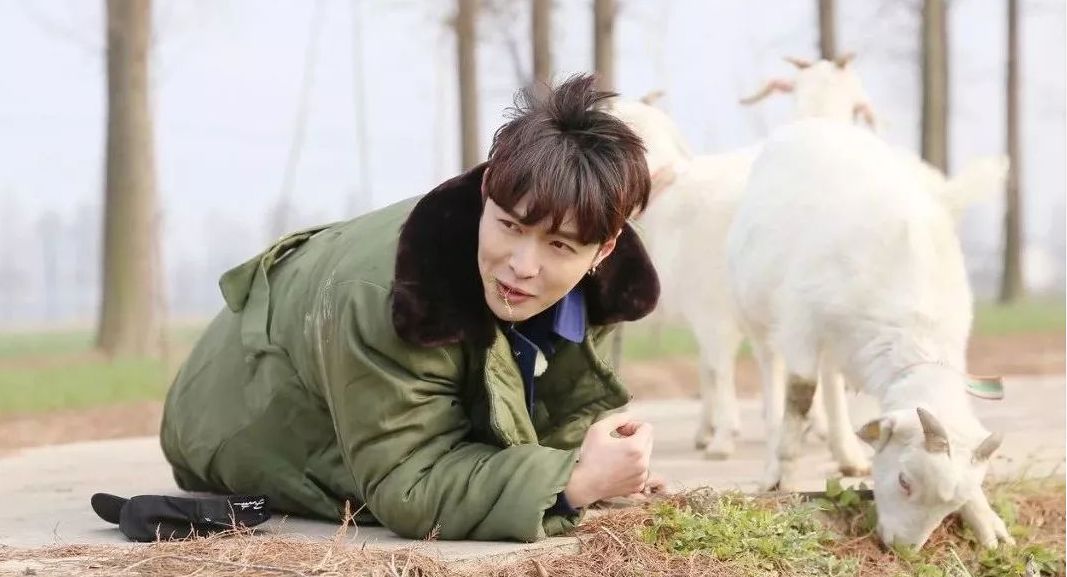 张艺兴跟杨天真合作什么时候结束,张艺兴与杨天真解约原因是什么