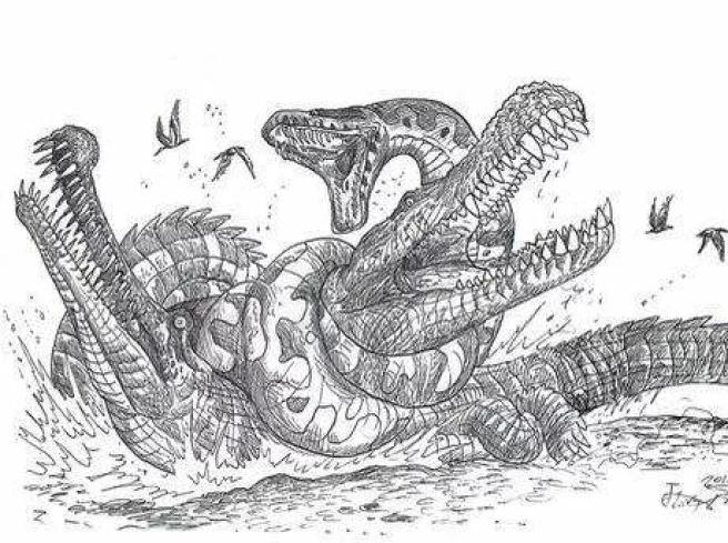 地球最大动物蓝鲸两百吨体重,地球最大的动物是什么动物