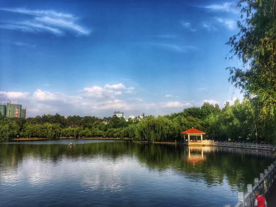 我眼中的昆明,昆明春之城