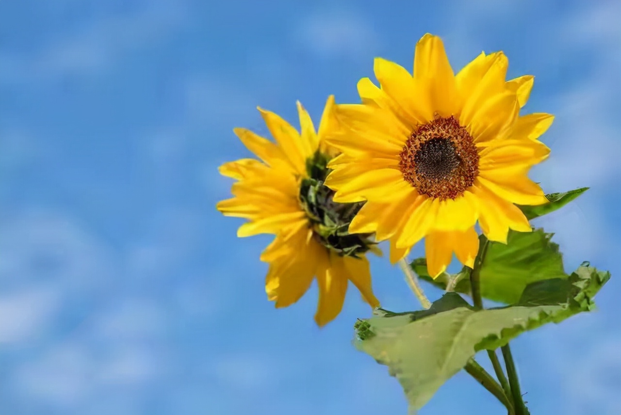 过于自信的时候怎么纠正,谈恋爱总觉得自己患得患失怎么办