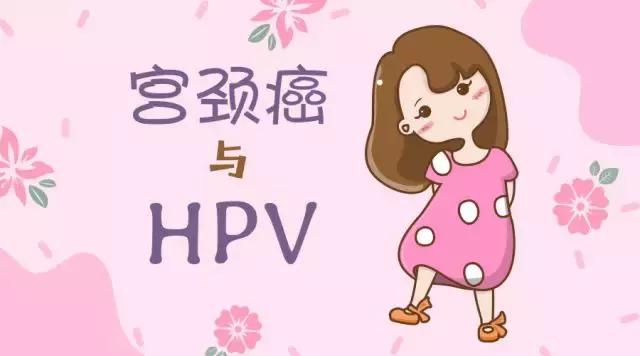 hpv是什么病毒会死人吗,hpv感染是不是一定是宫颈癌