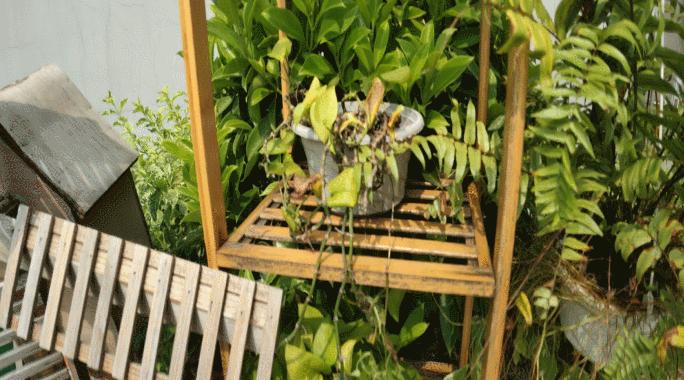 思锐电影镜头怎么样,思锐广角镜头拍摄视频