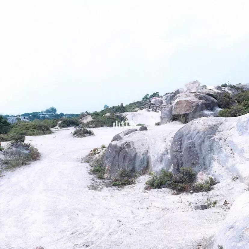 东莞一座神奇的城市,魅力之都游戏