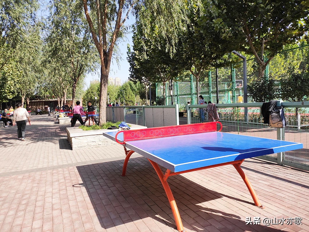 石家庄体育公园哪个最好,石家庄体育公园有什么好玩的