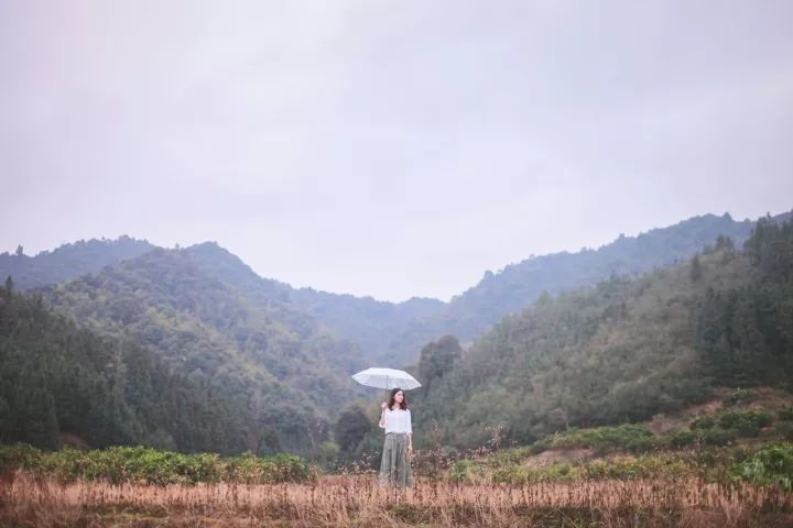 她31岁放弃北漂，回归自然，用枯枝败叶，打造了一个梦幻森林