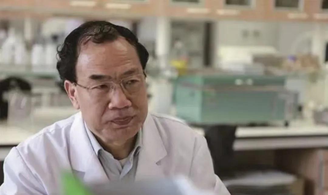 得了狂犬病但没有发作有救吗,得狂犬病的猫和狗