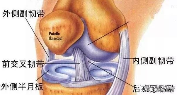 左膝关节内侧副韧带1度损伤,膝关节外侧副韧带撕裂的症状