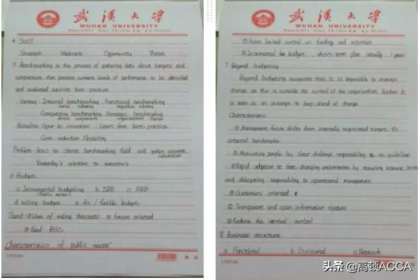 武汉大学文学系学霸,武汉大学满分学霸