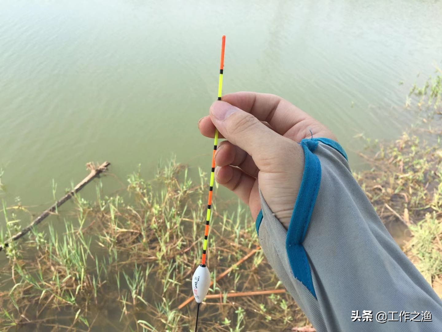 夏季鱼上浮水面该怎么钓,初冬温度升高鱼上浮