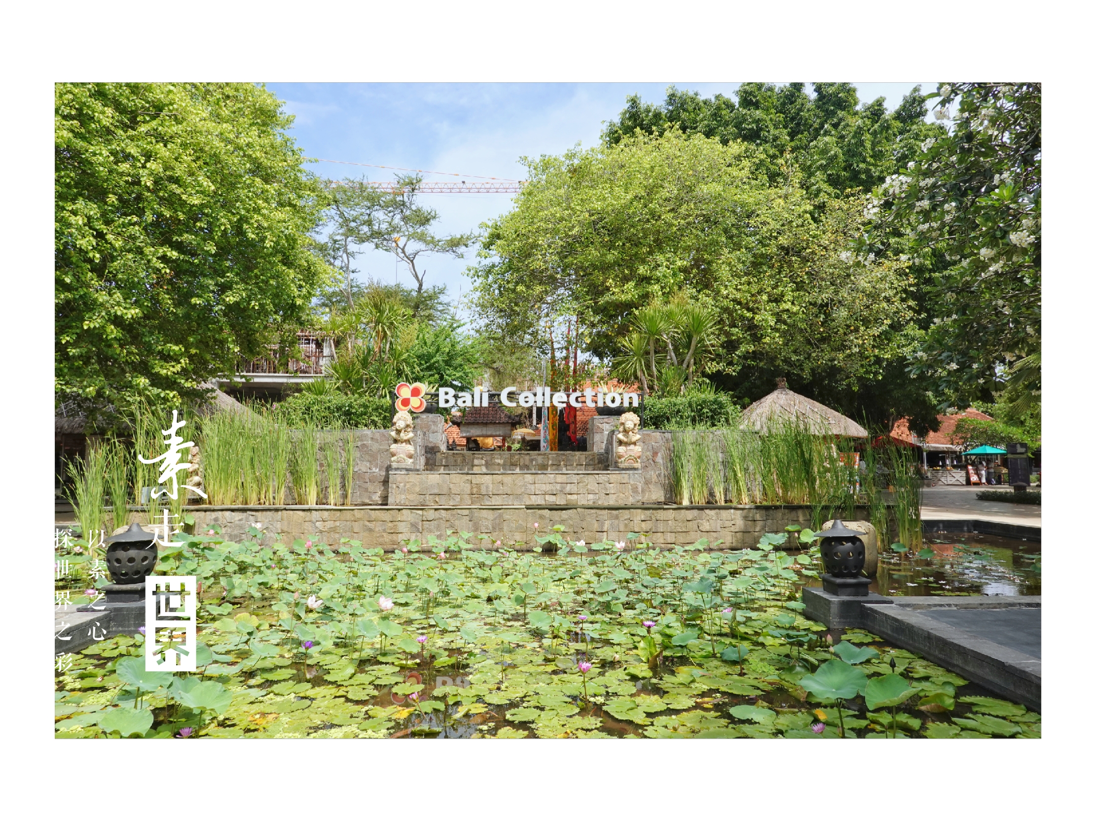 印尼巴厘岛免税店购物攻略,印尼巴厘岛旅游购物攻略