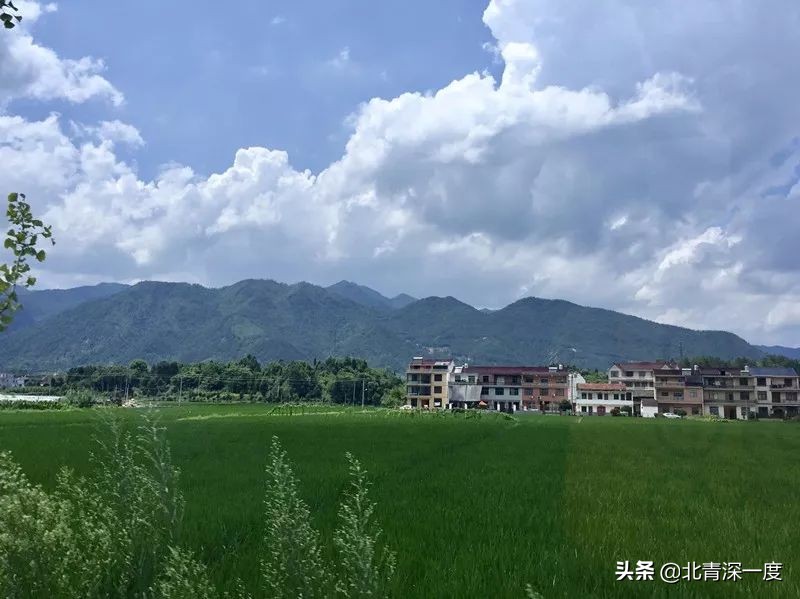 每年暑假都是儿童溺水高发期,暑假溺水的儿童