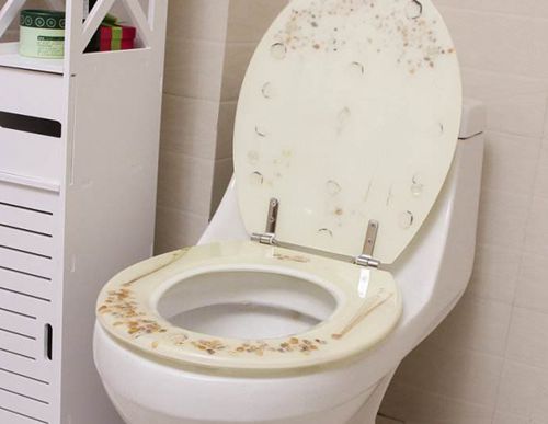 马桶清洁除味消毒去菌,马桶除菌和杀菌