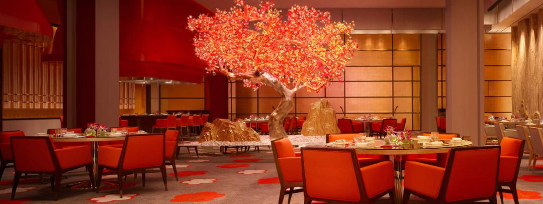 澳门旅游指南全攻略,澳门旅游攻略详细