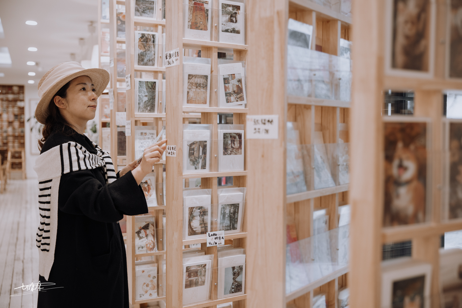 梦里水乡乌镇周庄风景视频,周庄版梦里水乡