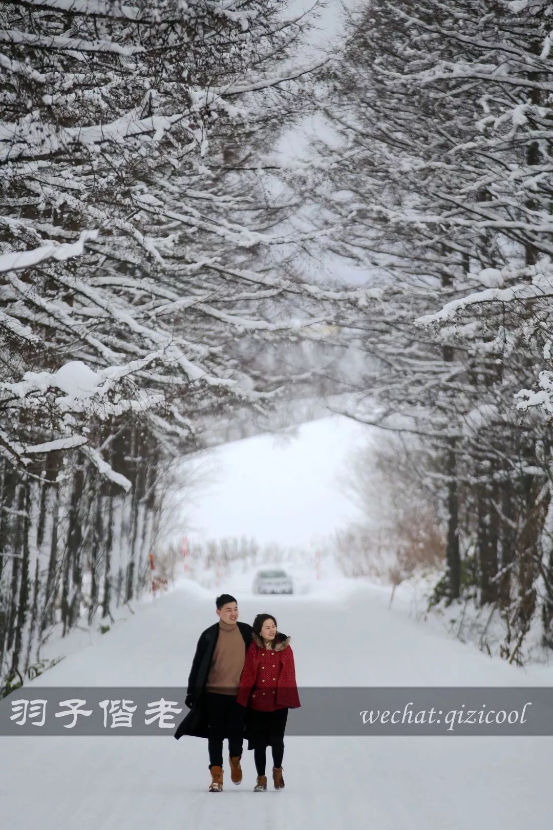 老实说,这一趟北海道就是为了拍好看的照片去的