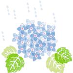 歌歌兰妮·闻香识女人|既有好看的皮囊，又有有趣的灵魂，四川广播电视台女主持杨旭