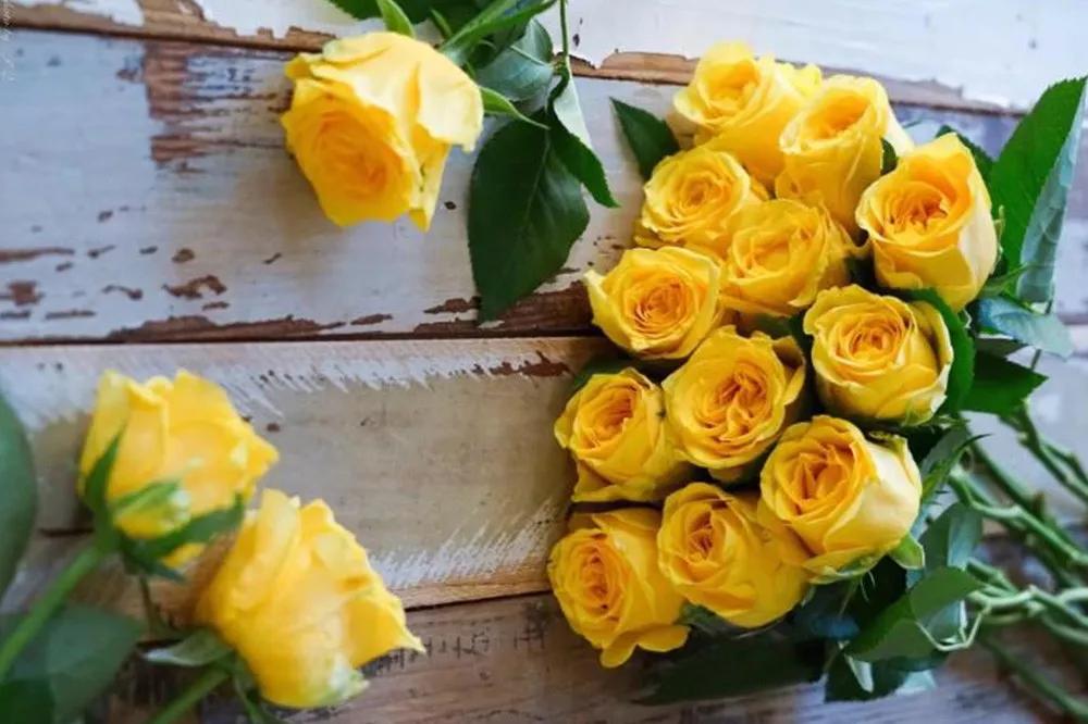 花店必备的5款玫瑰,鲜花图鉴一次性认识30种玫瑰花