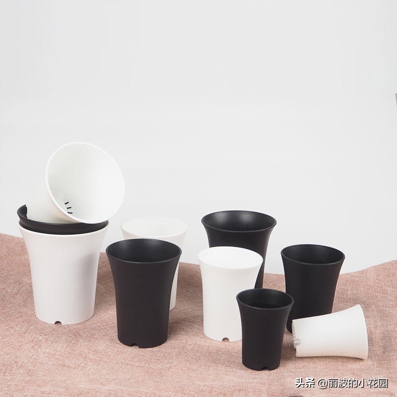 多肉植物用塑料花盆好吗,多肉适合什么土盆栽养殖