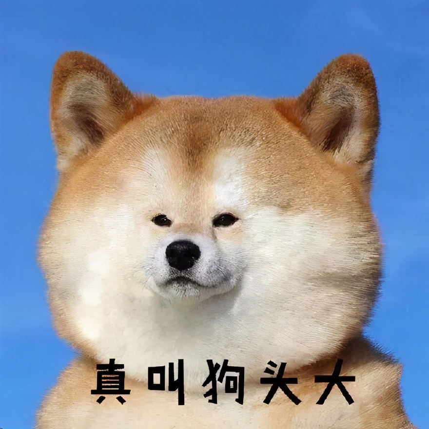 我厂出个洗衣机叫墨盒，是越洗越黑吗？