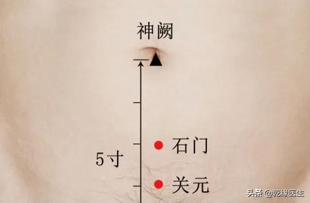 六脏六腑各有一募穴（二）