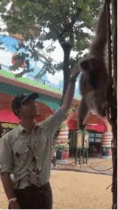 搞笑打电话说尴尬的私事,假装打电话幽默搞笑段子