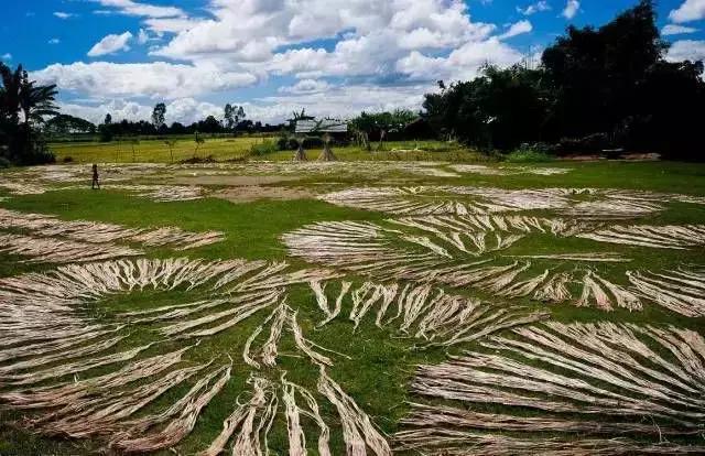 麻立方卡夫卡床垫,麻立方黄麻床垫会不会生虫子