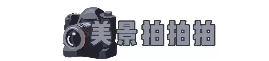 深圳这次入冬成功了吗,深圳终于进入了深秋的天气