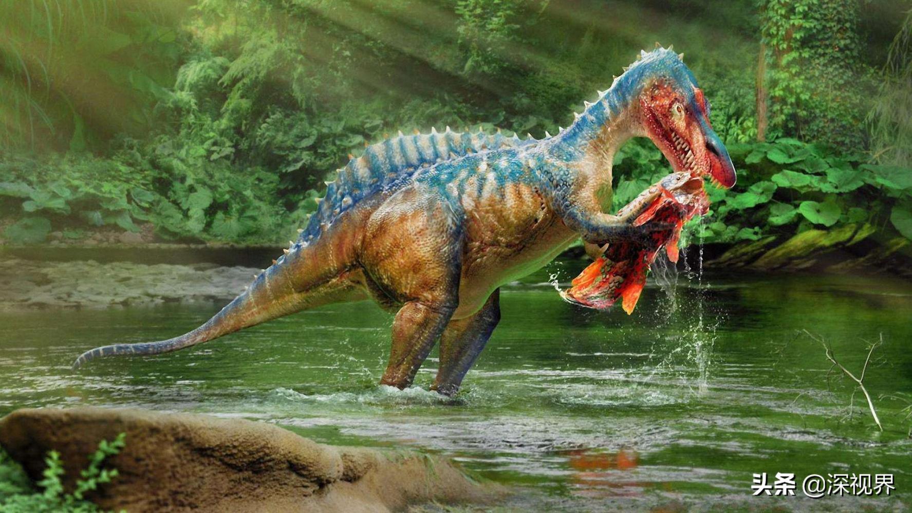 恐龙从几次大灭绝中活了下来,恐龙有没有灭绝只是进化成了鸟类