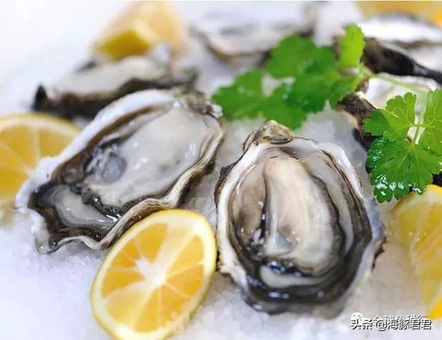 新西兰奥克兰机场购物,新西兰奥克兰一日游攻略