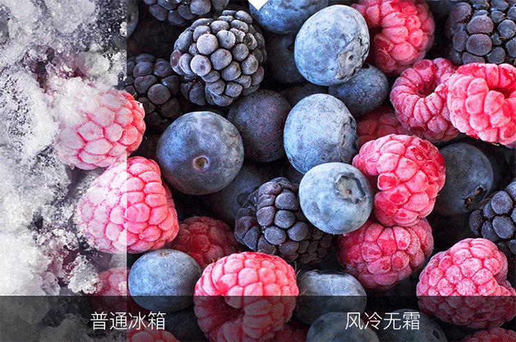 买冰箱是买直冷的好？还是风冷的好？看看耗电量，感觉老版更合适