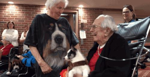 93岁奶奶恶搞27岁孙子,一夜爆红!1300万网友围观:奶奶太坑了