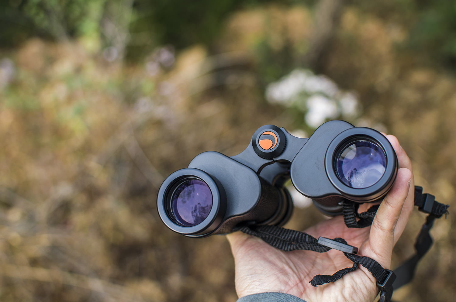 星特朗天文望远镜1100效果,星特朗望远镜4mm非球面目镜